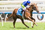 Eloping Returns to Work Ahead of Spring Campaign