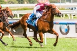 2015 Queensland Day Plate Results: Mohave Wins the Last