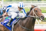 2013 Caulfield Guineas Betting Tips & Selections