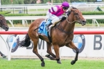 Punters Love Price Madly in 2013 Geoffrey Bellmaine Stakes Odds