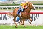 Can Adelaide Filly Score Blue Diamond Stakes 2013 Miracle?