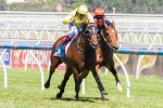2014 Theo Marks Stakes Field Features Waller Duo