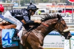 Scratchy Bottom Leads Alister Clark Stakes 2014 Betting Odds