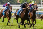 Scratchy Bottom Peaking Ahead of 2014 SA Derby
