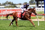 2016 Ladbrokes Blue Diamond Stakes Day Scratchings & Track Report