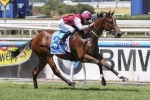 Earthquake Resumes Work Ahead of Spring Racing Campaign
