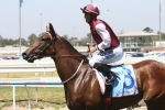 Earthquake Odds-On in 2014 Furious Stakes Betting