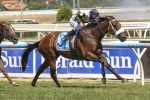 Talented Field Outlined in 2014 Futurity Stakes Nominations