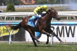 2014 Schillaci Stakes Odds – Rubick Shares Favouritism