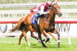 Guelph Heads Big Champagne Stakes 2013 Field