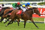 Black Heart Bart To Defend Memsie Stakes Win