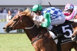 2016 RN Irwin Stakes Tips and Betting Preview