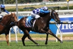2015 Blue Diamond Stakes Barrier Draw – Fontition in One