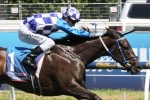 2015 Blue Diamond Stakes Form Guide & Preview