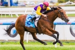 Bonaria firms for Schweppervescence Trophy – Tips and Betting