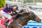Fiorente Scores Memorable First-Up win in Peter Young Stakes