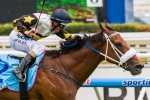 The Moment is Now for Moody in 2014 Winterbottom Stakes
