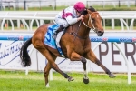 Schillaci Stakes 2014 Betting Tips
