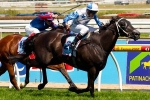 2013 Toorak Handicap Weights Rise with King Mufhasa Out
