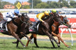 Firm Track Ideal for Savanna Amour in Regal Roller Stakes