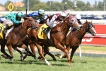 Stratum Star heads to the Australian Cup after Peter Young Stakes win