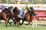 Flamberge scores upset win in 2016 Oakleigh Plate