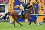 2015 Australian Cup Form Guide & Preview