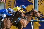 Latest ATC Sires’ Produce Stakes 2015 Betting Odds