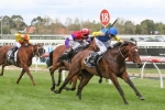 Cox Plate a Possible Target for Black Heart Bart
