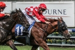 Miss Promiscuity Hayes’ Pick in Monash Stakes