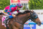 Dunn Happy As to Cause 2014 Queensland Derby Hell