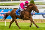 The Quarterback Narrowly Heads 2014 Euclase Stakes Odds
