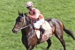 Exceed And Excel to Serve Black Caviar