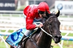 2014 Red Anchor Stakes Betting Tips