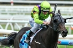 Stablemates Fit for 2014 Regal Roller Stakes
