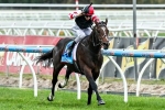 Laing Believes Sky’s The Limit in 2014 Monash Stakes
