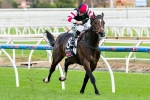 Lord Of The Sky Targets 2015 Oakleigh Plate