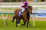 2014 Quezette Stakes Betting Tips