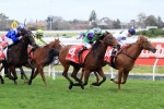 Mile to Suit 2016 Thousand Guineas Bound Star