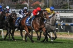 McNeil Stakes to Suit Top Me Up