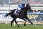 2014 Let’s Elope Stakes Betting Preview and Tips
