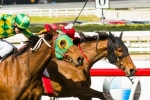 Sunline Stakes 2014 Tips & Selections