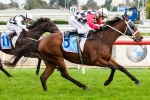 PB Lawrence Stakes 2013 Form Guide & Betting Preview