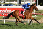 Hartnell Only Melbourne Cup 2017 Chance for Godolphin