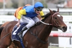 Black Heart Bart wins second G1 with Memsie Stakes victory