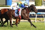 Dabernig Pleased with Oakleigh Plate Chances
