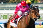 2015 Queen Of The South Stakes Betting Tips