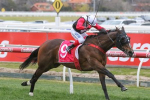 Hell Or Highwater scores hat trick of wins with Heatherlie Stakes victory