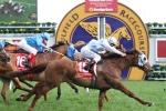 Magnapal into Caulfield Cup with Foundation Cup win