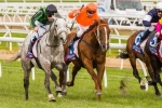 Entirely Platinum Stays Put for Turnbull Stakes 2014